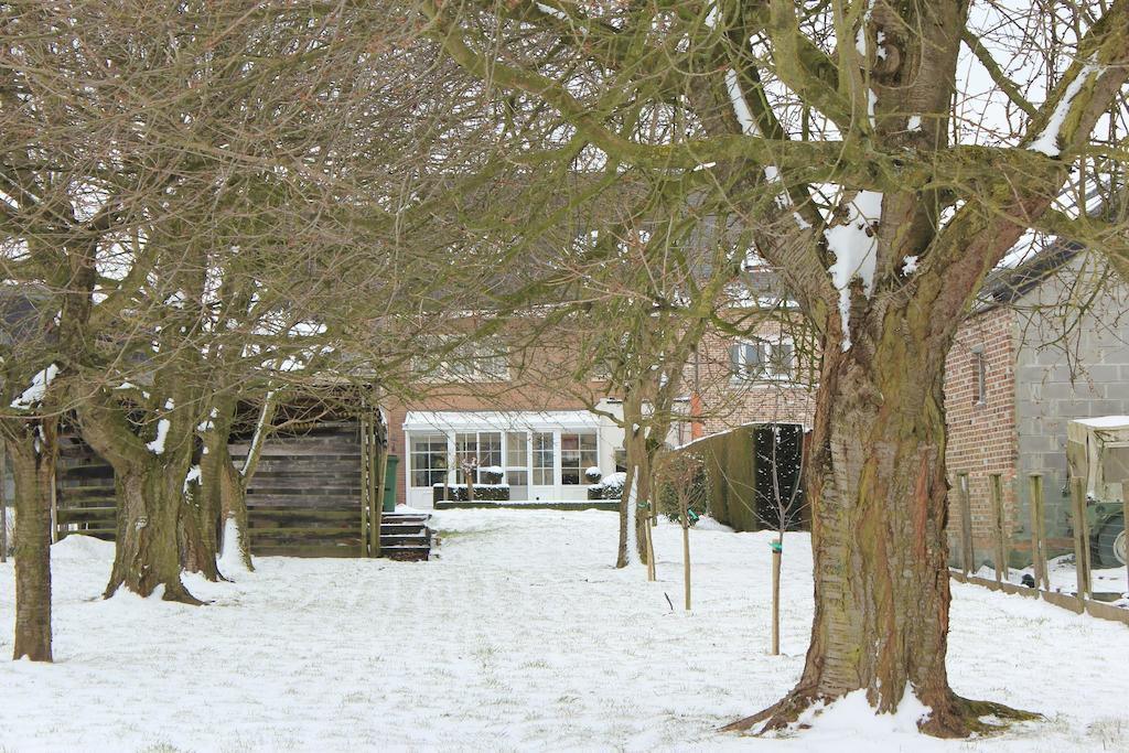 B&B Den Boomgaard Moorsel Buitenkant foto