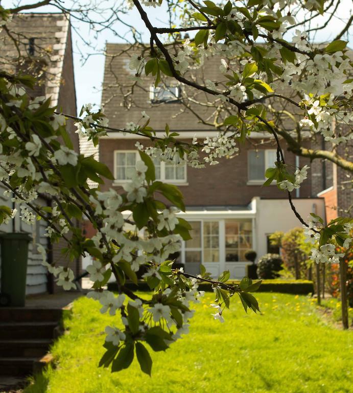 B&B Den Boomgaard Moorsel Buitenkant foto